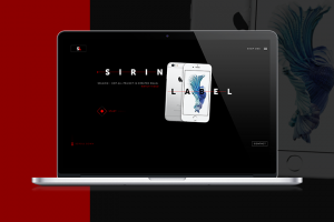 Линейка айфонов "Sirin Label"