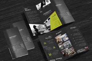 Дизайн буклета для европейской компании Аnyxee (дизайн интерьера