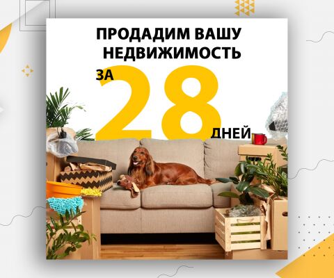 img4259871.png