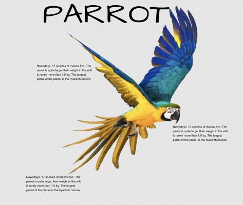 img4099633.png