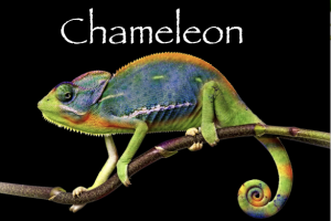 Chameleon