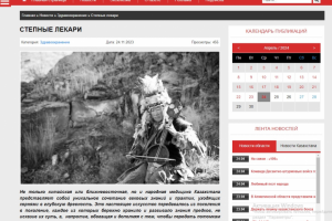 Текст о традиционной медицине