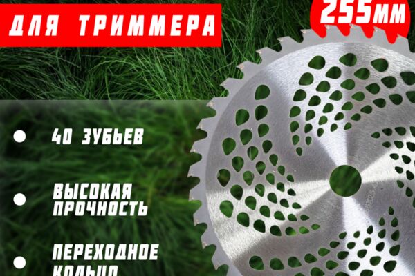 img4576912.png