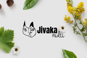 Логотип для мультибренда Jivaka