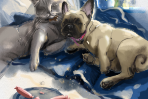 Серия иллюстраций про домашних животных