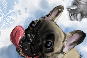 Серия иллюстраций про домашних животных