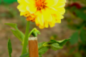 съемка и ретушь для сми