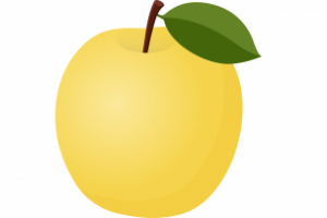 Работа 3934904