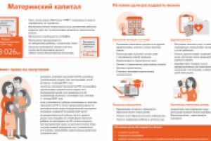Инфоргафика "Материнский капитал"