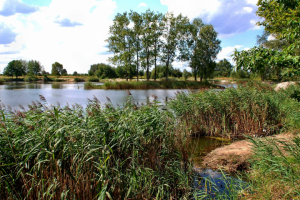 Ностальгия.