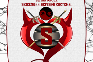 Книга "День Шеллинберга".