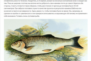 Как ловят голавля в Башкирии.