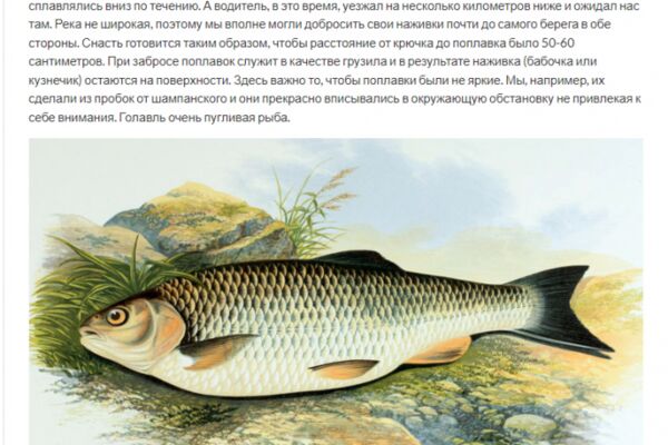 img4574936.png