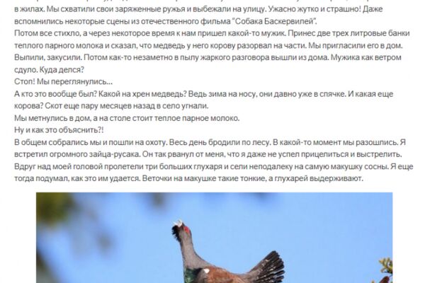 img4574878.png