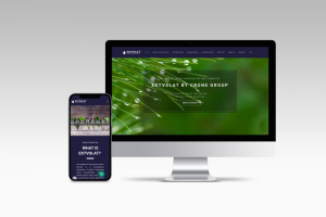 Лендинг для компании Crone Group