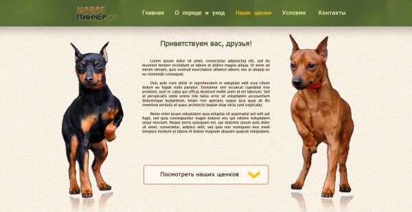 img3441720.png