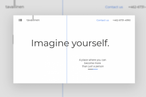 Landing Page Tavallinen