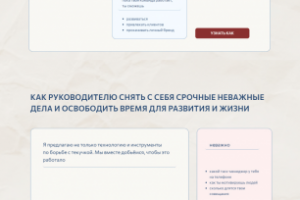 Дизайн сайта специалиста по делегированию