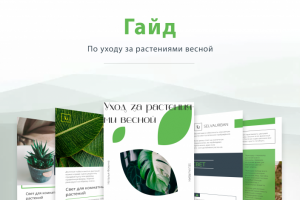 Гайд по уходу за растениями
