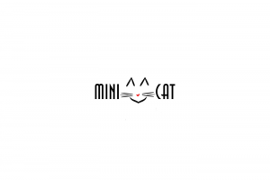 Mini Cat