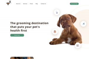 Grooming Pet