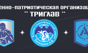 Оформление вконтакте военно-спортивной организации
