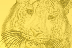 Работа 3266050