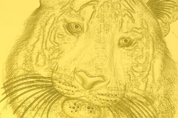 img3266050.png