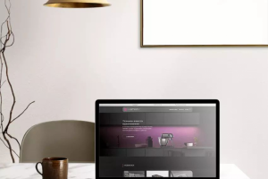 Разработка интернет-магазина для производителя бытовой техники H