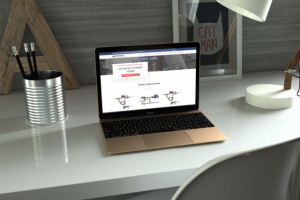 Разработка небольшого интернет-магазина для ТепломашОПТ