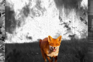 Социальная реклама, триплик, проект "Сохрани жизнь"