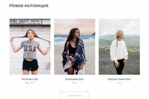 Адаптивная верстка с WP
