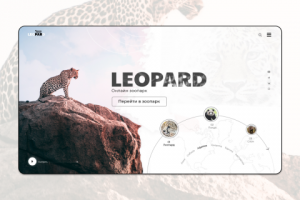 Онлайн зоопарк. Первый экран