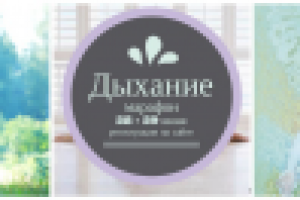 Баннер для тренинга