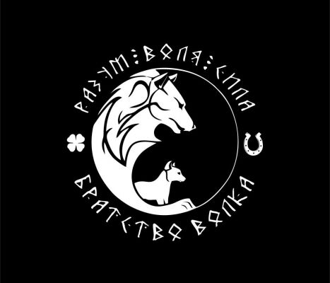 img3218912.png