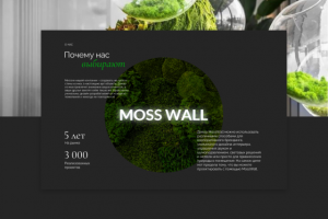 Moss Wall | Интерьеры из стабилизированного мха