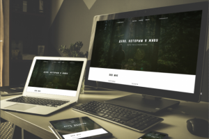 Сайт под портфолио