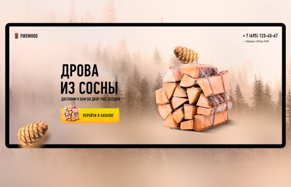 img3674921.png