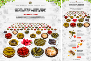 Соленья Магнат