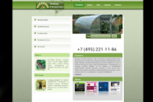 дизайн сайта теплиц "Раздолье"
