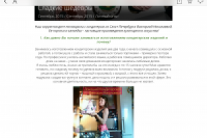 Интервью с кондитером (запись и расшифровка)