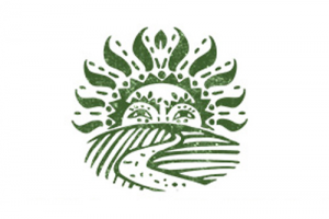 Работа 3144666