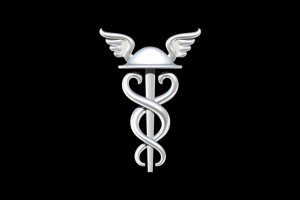 Эмблема Торгово-Промышленной Палаты РФ