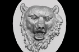 Медведь, 3d модель