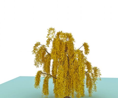 img4201053.png