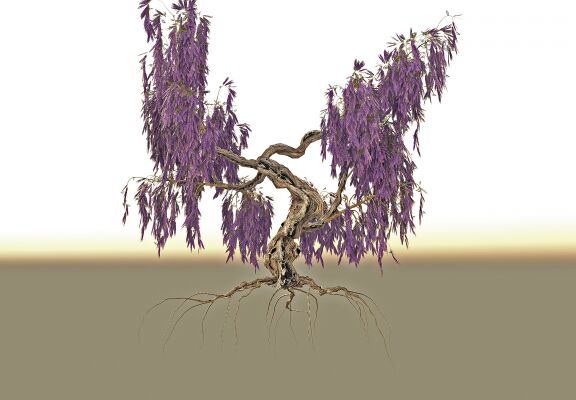 img4201063.png
