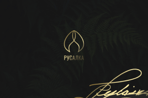 Работа 3715193