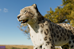 Более 1500+ работ в портфолио !