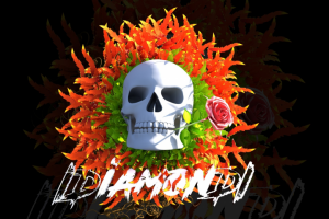 Более 1500+ работ в портфолио !