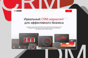DM Basis | Web-site